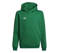 adidas Junior Entrada 22 Pullover Hoodie