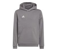 adidas Unisex Kids Entrada 22 Sweat Hoodie, Team Grey Four, 7-8 Years