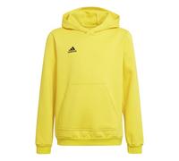 adidas Unisex Kids Entrada 22 Sweat Hoodie, team yellow/black, 13-14 Years
