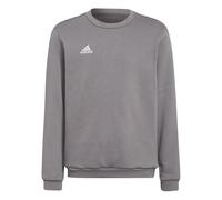 adidas Unisex Kids Entrada 22 Sweat Top, Team Grey Four, 13-14 Years