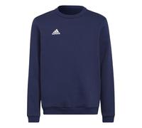 adidas Unisex Kids Entrada 22 Sweat Top, Team Navy Blue 2, 13-14 Years