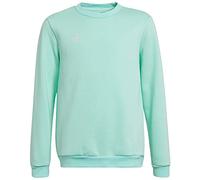adidas Unisex Kids Entrada 22 Sweatshirt (Long Sleeve)