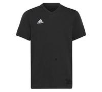adidas Unisex Kids Entrada 22 Tee, Black, 11-12 Years