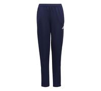 adidas Unisex Kids Entrada 22 Training Pants, Team Navy Blue 2, 9-10 Years
