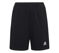 adidas ENT22 Training Shorts Juniors 5-6 Years Black