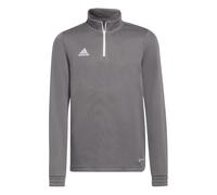adidas Unisex Kids Entrada 22 Training Top, Team Grey Four, 11-12 Years