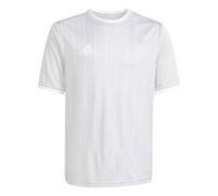 adidas Unisex Kids Entrada26 Graphic Jersey Kids Shirt, Team Light Grey/White, 3-4 Years
