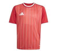 adidas Unisex Kids Entrada26 Graphic Jersey Kids, Team Power red 2/White, 9-10 Years