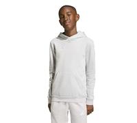 Adidas Entrada 26 Hoodie Grey 11-12 Years Kids