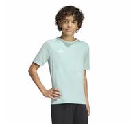 adidas Unisex Kids Entrada26 Jersey Kids, Halo Mint/White, 5-6 Years