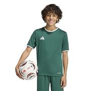 adidas Unisex Kids Entrada26 Jersey Kids, Team Dark Green/White, 3-4 Years