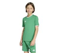 adidas Unisex Kids Entrada26 Jersey Kids, Team Green/White, 9-10 Years