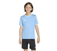 adidas Unisex Kids Entrada26 Jersey Kids, Team Light Blue/White, 11-12 Years