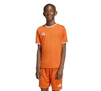 adidas Unisex Kids Entrada26 Jersey Kids, Team Orange/White, 11-12 Years
