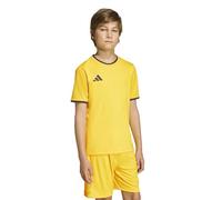 adidas Unisex Kids Entrada26 Jersey Kids, Team Yellow/Black, 11-12 Years