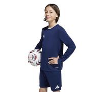 adidas Unisex Kids Entrada26 Long Sleeve Jersey Kids, Team Navy Blue 2/White, 9-10 Years