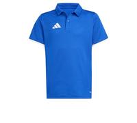 adidas Unisex Kids Entrada26 Polo Kids, Team Royal Blue/White, 15-16 Years