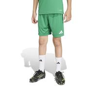 adidas Unisex Kids Entrada26 Shorts Kids, Team Green/White, 13-14 Years