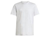 adidas Unisex Kids Entrada26 Tee Kids, Team Light Grey/White, 13-14 Years