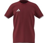 adidas Unisex Kids Entrada26 Tee Kids, Team Power red 2/White, 13-14 Years