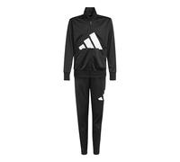 adidas Unisex Kids Essentials Big Logo Climacool Track Suit, black/white, 13-14 Years