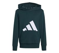 adidas Unisex Kids ESSENTIALS BIG LOGO HOODIE, aurora ivy/white, 15-16 Years