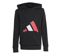 adidas Unisex Kids ESSENTIALS BIG LOGO HOODIE, black/pure ruby/white, 11-12 Years