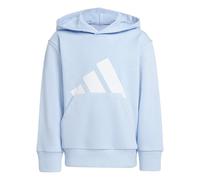 adidas Unisex Kids ESSENTIALS BIG LOGO HOODIE, glow blue/white, 4-5 Years