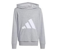 adidas Unisex Kids ESSENTIALS BIG LOGO HOODIE, Medium Grey Heather/White, 15-16 Years