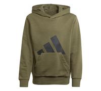 adidas Unisex Kids ESSENTIALS BIG LOGO HOODIE, olive strata/black, 7-8 Years