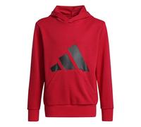 adidas Unisex Kids ESSENTIALS BIG LOGO HOODIE, Pure Ruby/Black, 9-10 Years
