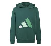 adidas Unisex Kids Essentials Big Logo Hoodie Sweatshirt, collegiate green/white/clear mint/court green, 11-12 Years