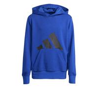 adidas Unisex Kids ESSENTIALS BIG LOGO HOODIE, team royal blue/black, 7-8 Years