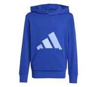 adidas Unisex Kids ESSENTIALS BIG LOGO HOODIE, team royal blue/blue fusion/glow blue, 7-8 Years