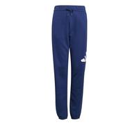adidas Unisex Kids Essentials Big Logo Pants, Dark Blue/White, 7-8 Years