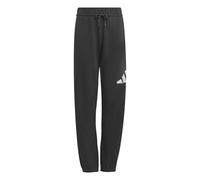 adidas Unisex Kids Essentials Big Logo Pants, Grey six/White, 9-10 Years