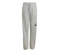 adidas Unisex Kids Essentials Big Logo Pants, Medium Grey Heather/Black, 9-10 Years