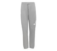 adidas Unisex Kids Essentials Big Logo Pants, Medium Grey Heather/White, 15-16 Years