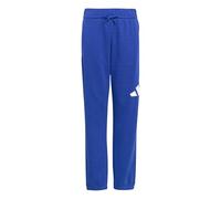 adidas Unisex Kids Essentials Big Logo Pants, Team Royal Blue/White, 11-12 Years
