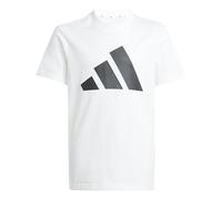 adidas Unisex Kids Essentials Big Logo Set Track Suit, white/black, 13-14 Years