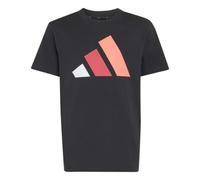 adidas Unisex Kids Essentials Big Logo Shirt, Black/White/Pure Ruby/Solar Turbo, 9-10 Years