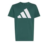 adidas Unisex Kids Essentials Big Logo Shirt, Collegiate Green/White, 15-16 Years