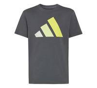 adidas Unisex Kids Essentials Big Logo Shirt, Grey Six/Orbit Grey/Frozen Lemon/Solar Lemon, 13-14 Years