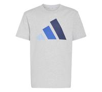 adidas Unisex Kids Essentials Big Logo Shirt, Light Grey Heather/Glow Blue/Team Royal Blue/Dark Blue, 15-16 Years