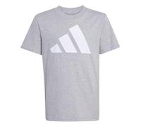 adidas Unisex Kids Essentials Big Logo Shirt, Medium Grey Heather/White, 15-16 Years