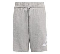 adidas Unisex Kids Essentials Big Logo Shorts, Medium Grey Heather/White, 13-14 Years