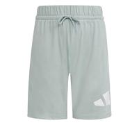 adidas Unisex Kids Essentials Big Logo Shorts, Wonder Sage/White, 7-8 Years