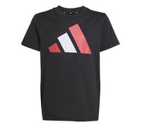adidas Unisex Kids Essentials Big Logo T-Shirt, Black/Pure Ruby/White, 9-10 Years