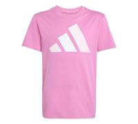 adidas Unisex Kids Essentials Big Logo T-Shirt, Pink Fusion/Clear Pink/White, 13-14 Years