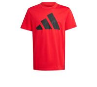 adidas Unisex Kids Essentials Big Logo T-Shirt, Pure Ruby/Black, 7-8 Years